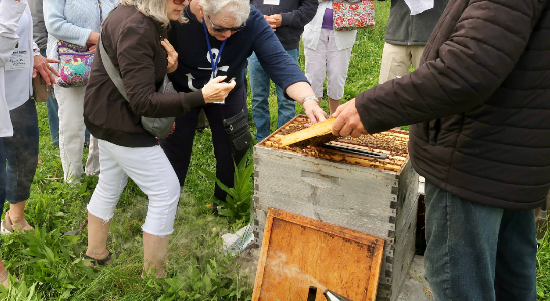 Honey Products in Niagara On The Lake, Ontario