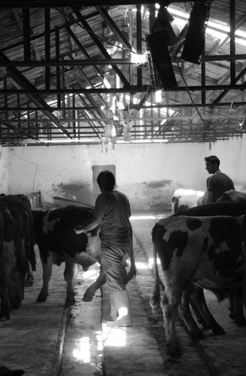 Deerfield Colony Farming Co.