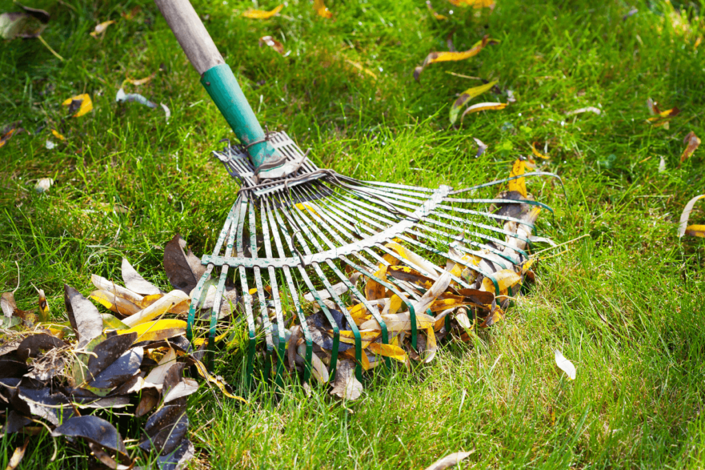JSL Lawn Care Incorporated - Landscaping Services in Orleans, Ontario