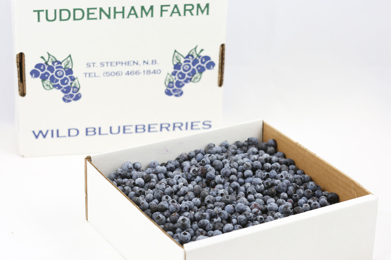 Tuddenham Farms - Agriculture in Oak Bay, New Brunswick