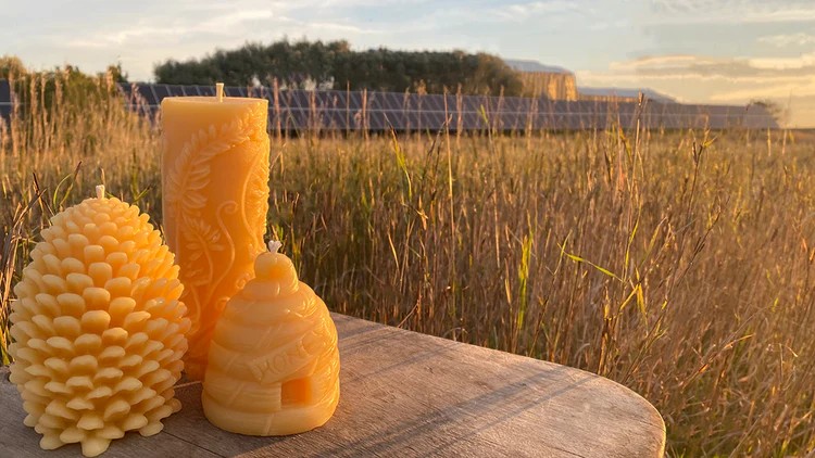 Honey Products in Elgin, Manitoba