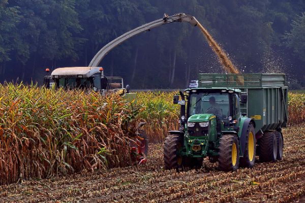 Ferrybank Farming Co. Ltd .Panoka Aberta