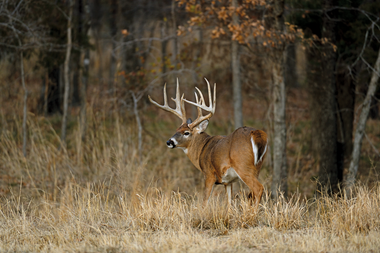 Memramcook River Outfitters Ltd. - Fishing & Hunting Outfitters in Memramcook, New Brunswick