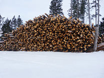 G &amp; C Hughes Enterprises Ltd. - Logging Companies & Contractors in New Ross, Nova Scotia