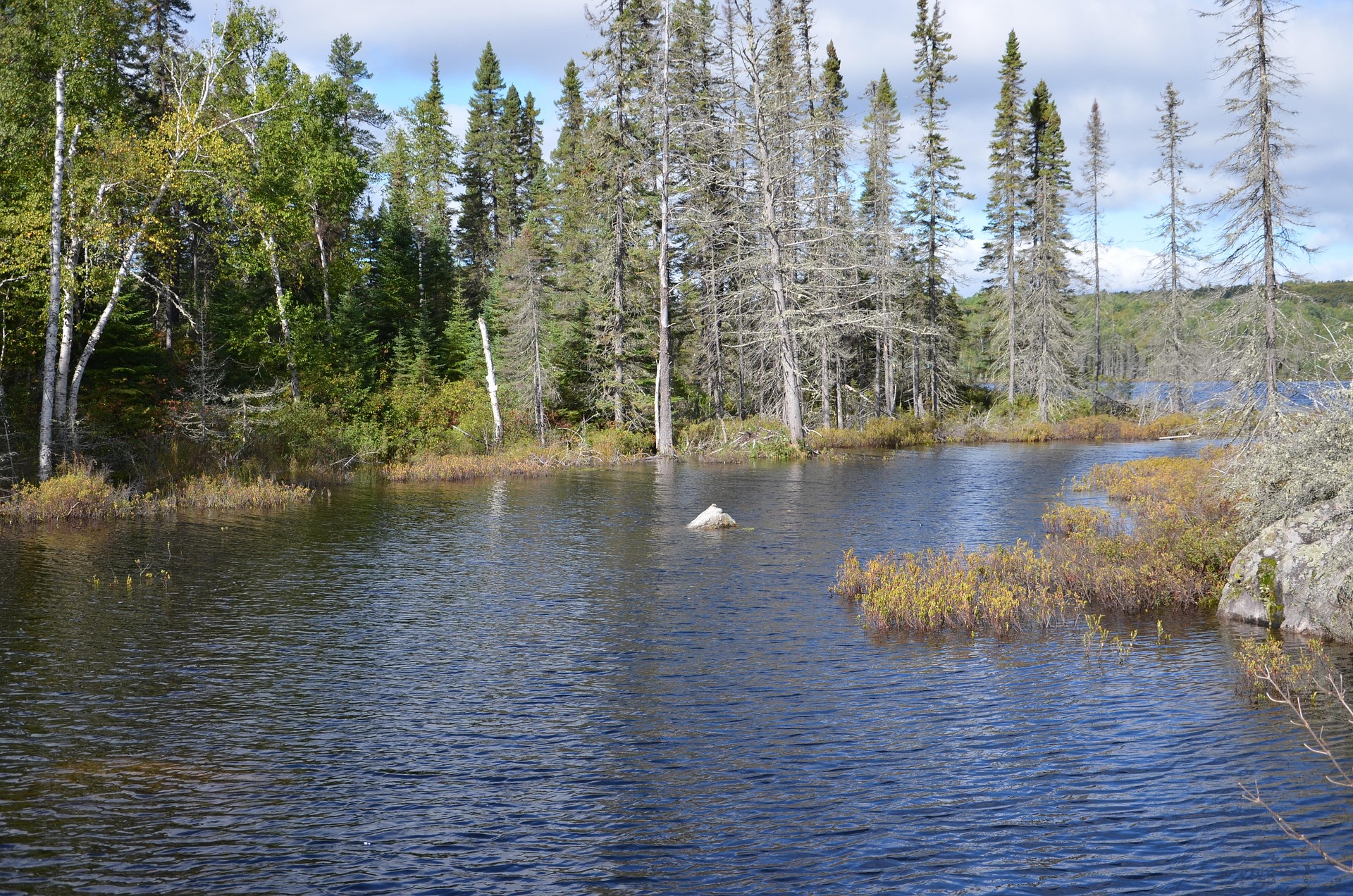 Bear Creek Outfitters - Wilderness Outfitters, Guides & Tours in Bruderheim, Alberta