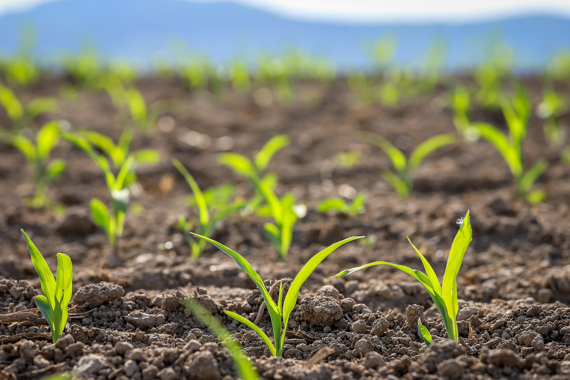 Farming & Agricultural Services in Brooks, Alberta