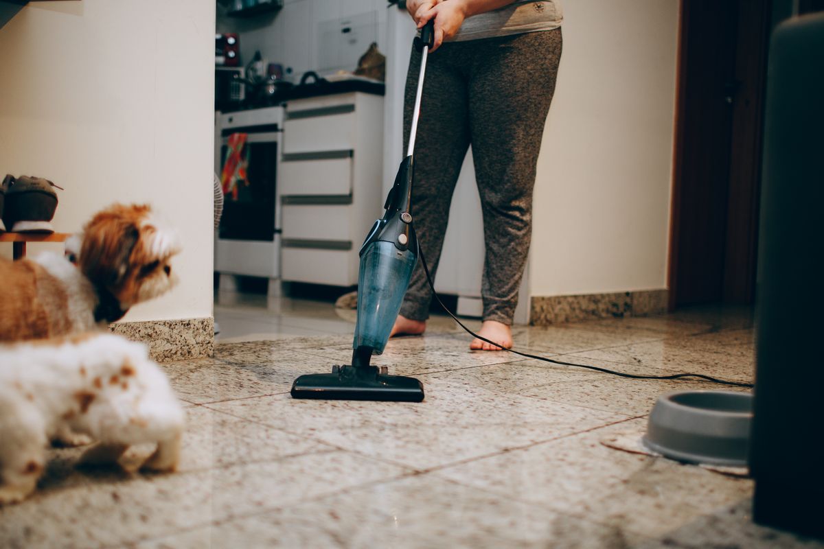 Bee's Professional Cleaning Service - Cleaning Service in Peterborough, Ontario