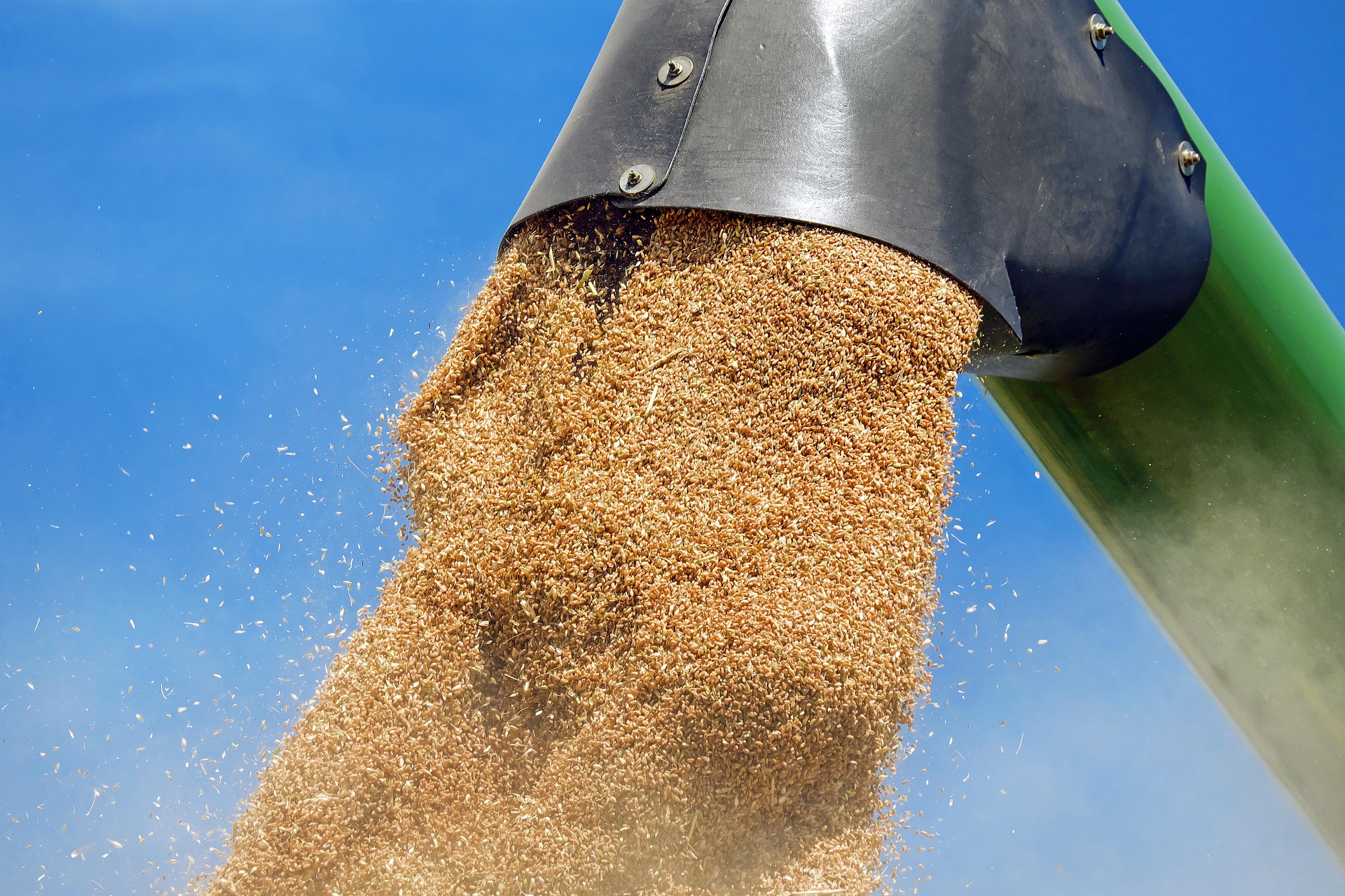Farming & Agricultural Services in Foremost, Alberta