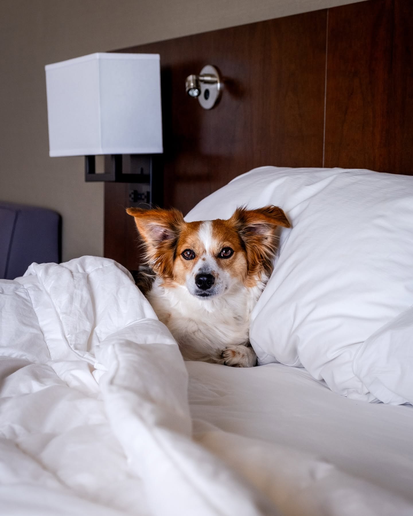 Delta Hotels By Marriott Thunder Bay in Thunder Bay, ON