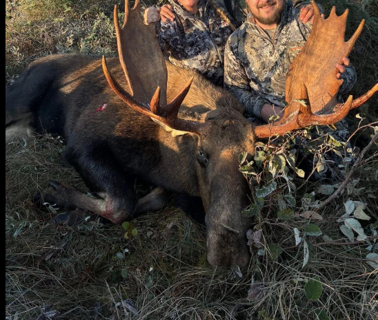 Moose Valley Outfitters