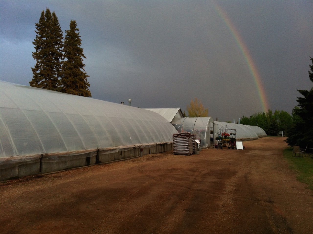 Ferry Point Greenhouse Ltd
