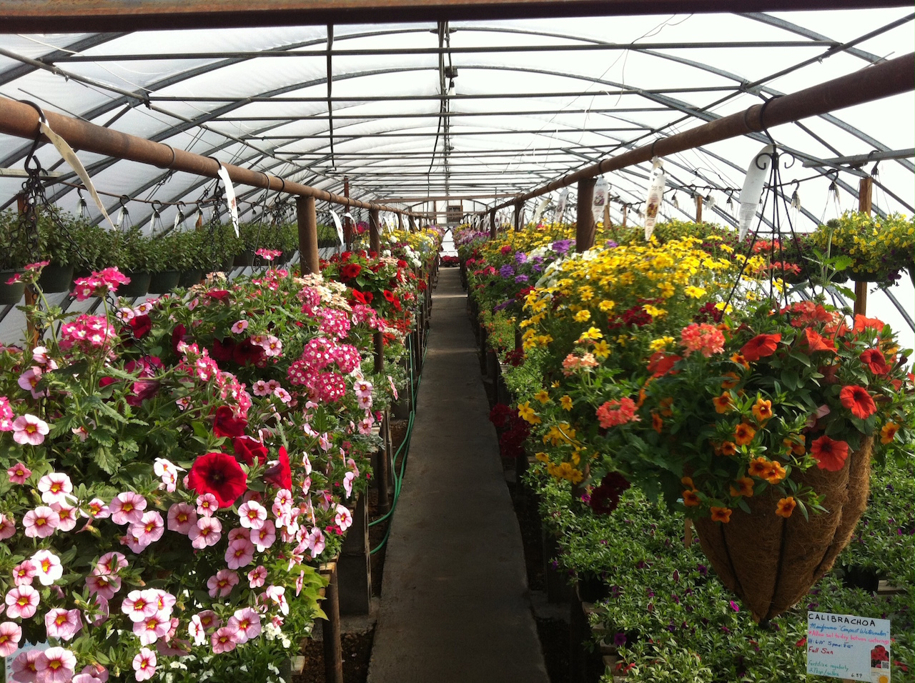 Greenhouse Equipment & Accessories in Edberg, Alberta.