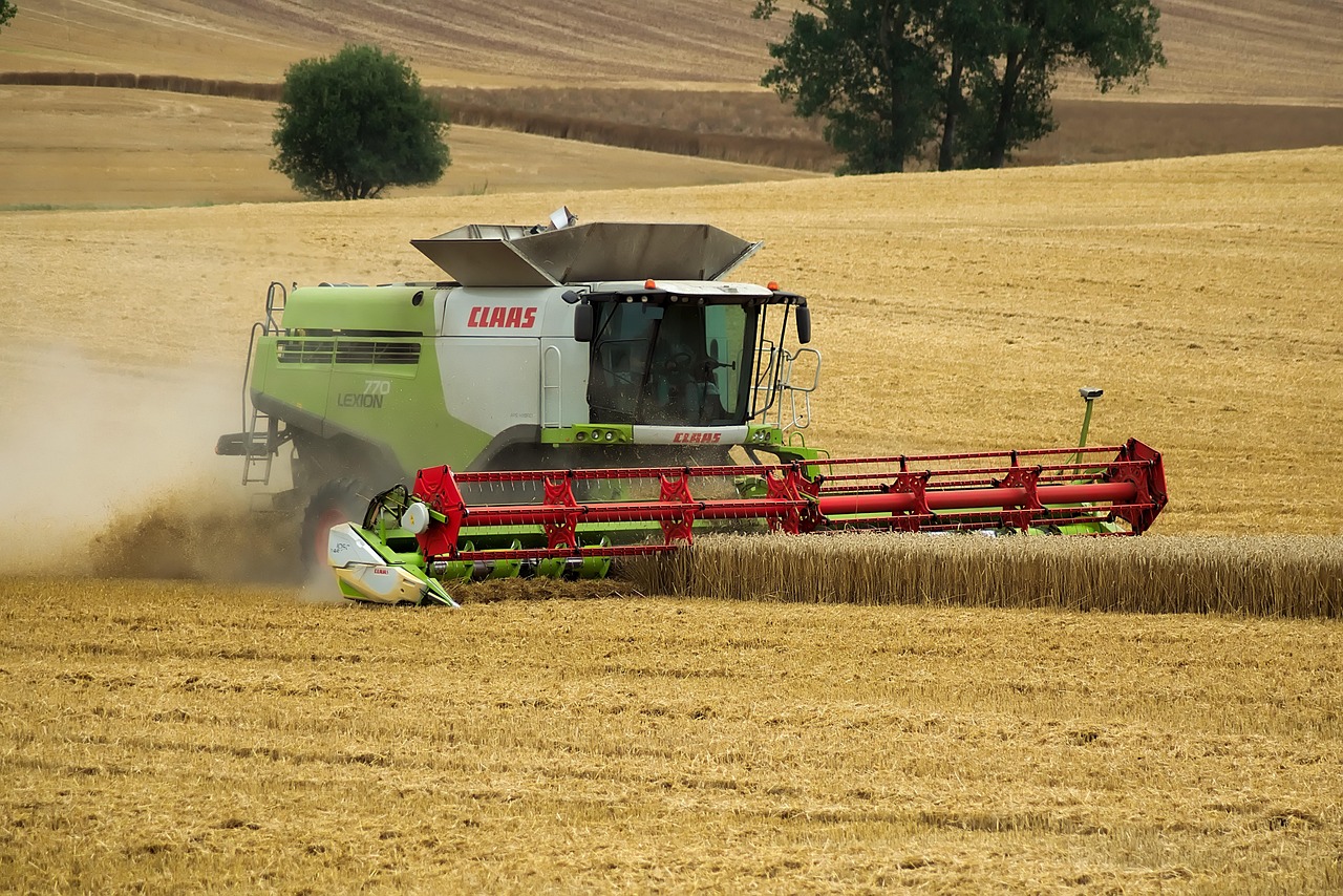 Anchor P Farms - Farming & Agricultural Services in Bentley, Alberta