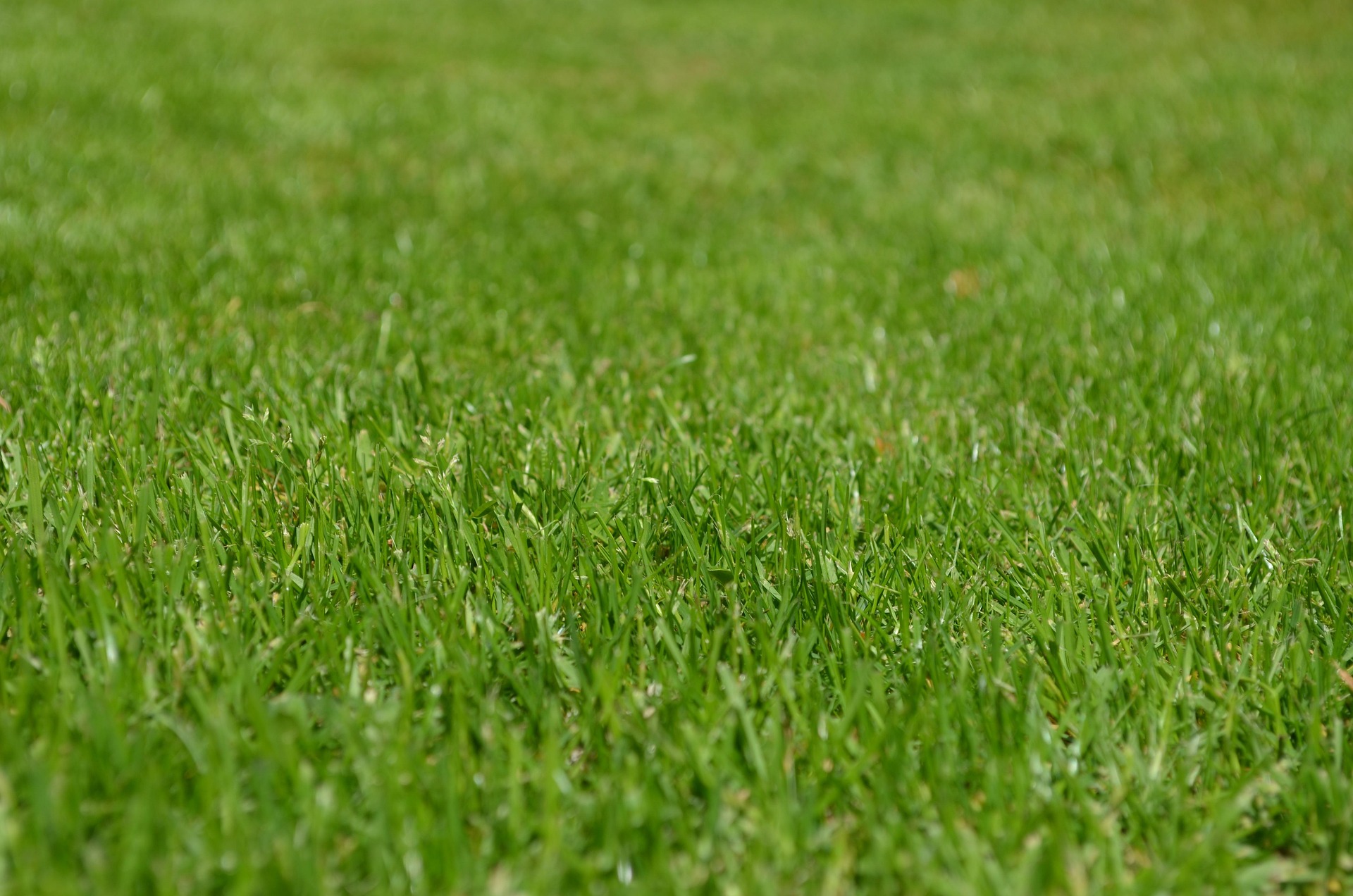 Jonnie Walker Grounds Keeping - Lawn Maintenance in Chase, British Columbia