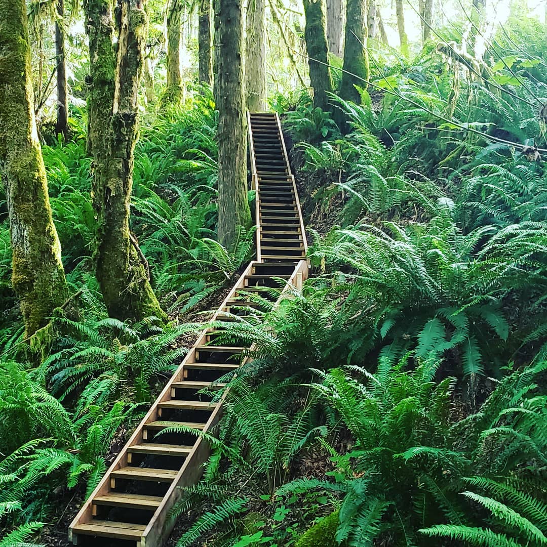 Diewold Homes &amp; Design - General Contractors in Port Alberni, British Columbia