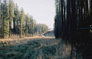 Ken's Sky High Guns  /  Alberta Native Guide Services Ltd. - Wilderness Outfitters, Guides & Tours in Edmonton, Alberta