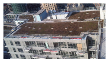 Valdan Landscape Inc. in Nobleton, Ontario - Photo 1