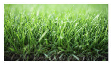 Valdan Landscape Inc. in Nobleton, Ontario - Photo 3