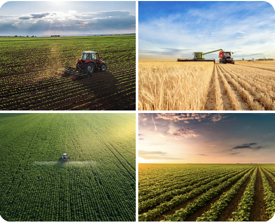 Foleyet Timber 1986 Ltd. in Timmins, Ontario - Photo 4