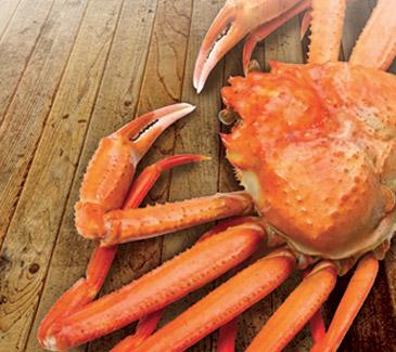 Cape Bald Packers Ltd - Seafood in Cap Pele, NB