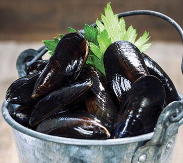 Cape Bald Packers Ltd - Seafood in Cap Pele, New Brunswick