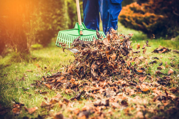 All Clear Property Service