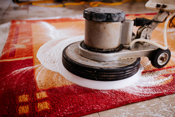 LUMA Carpet Cleaning