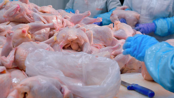 Country Poultry Processing Inc.