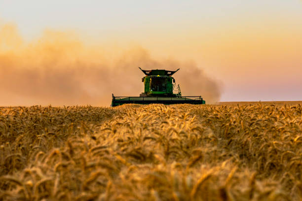 Bridgeview Manufacturing. Inc.