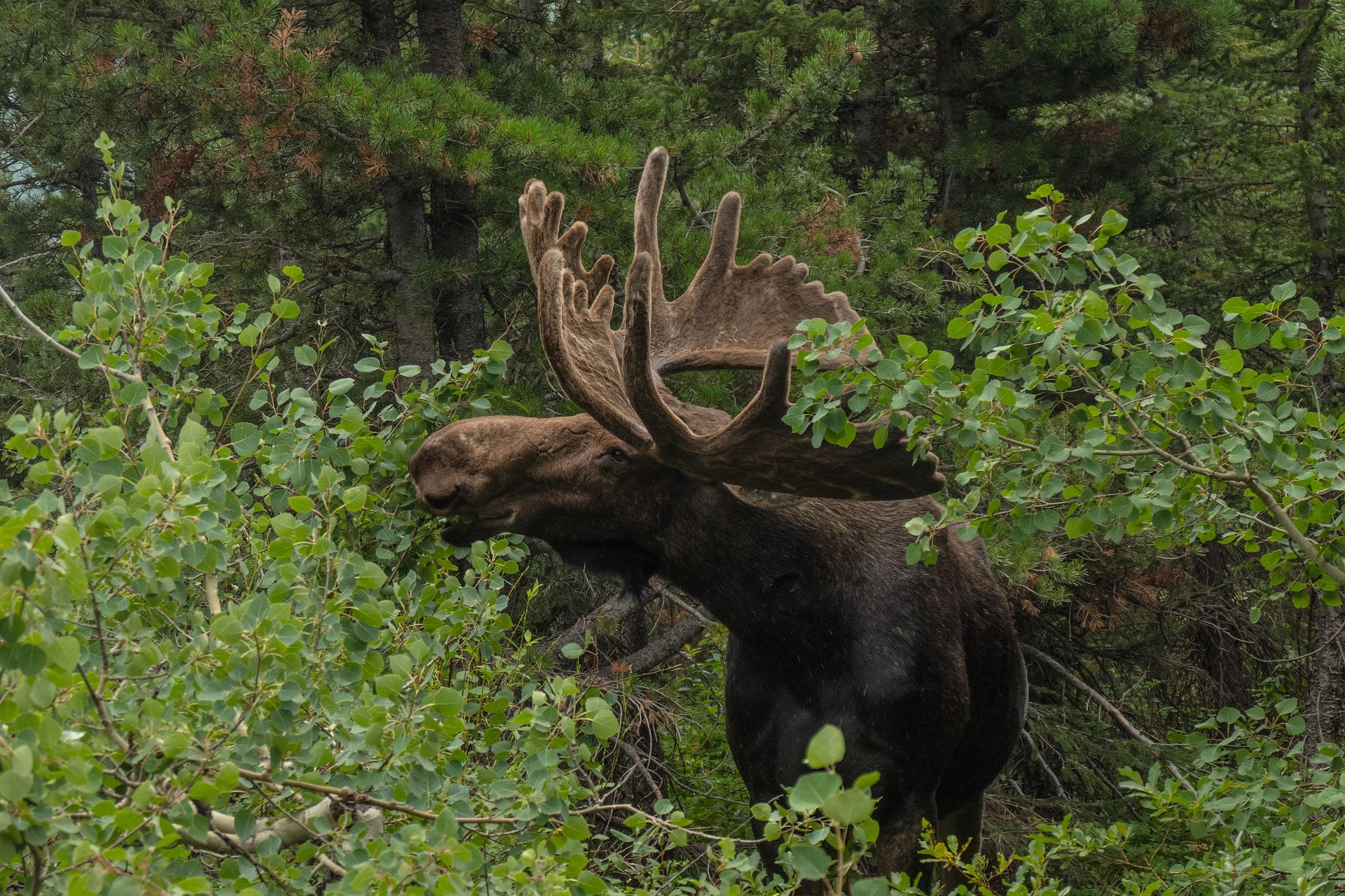 Fishing & Hunting Outfitters in Perth Andover, New Brunswick.
