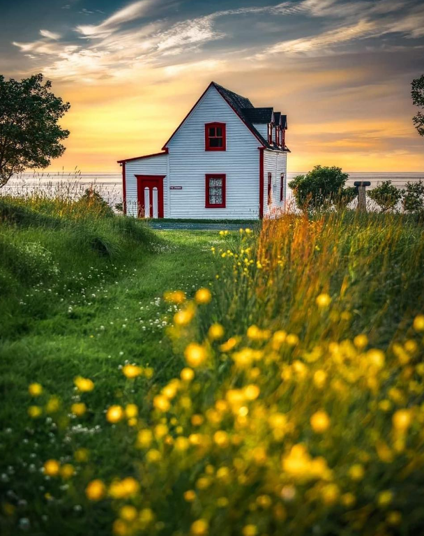 C &amp; W Contracting Ltd.