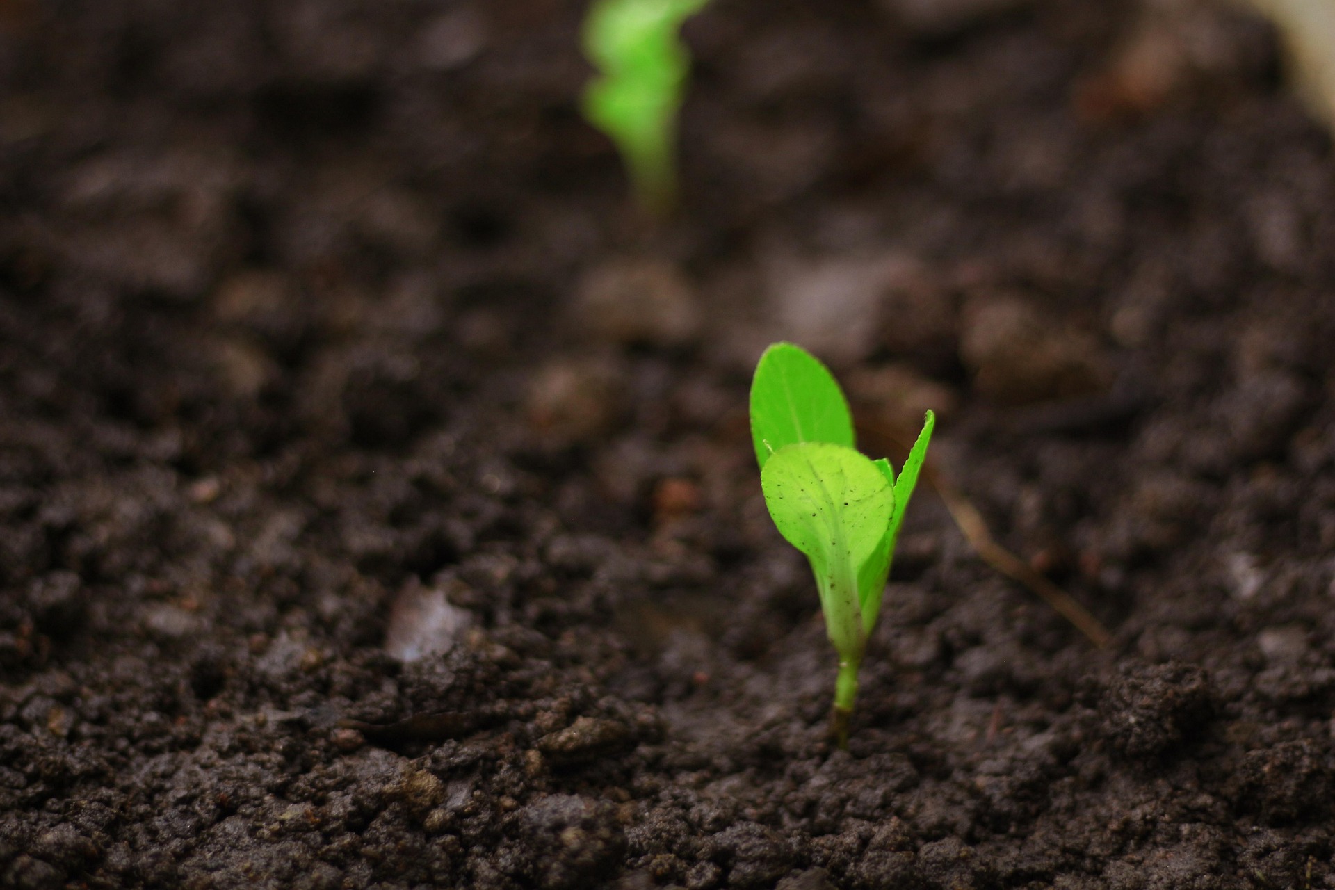 Farming & Agricultural Services in Brooks, Alberta