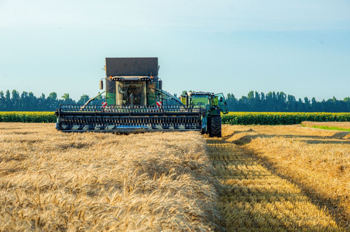 Parkland Colony Farming Co. Ltd. - Farming & Agricultural Services in Nanton, Alberta