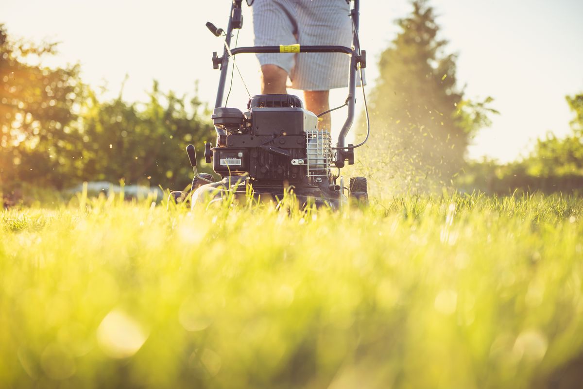 Lawn mowing on a green lawn