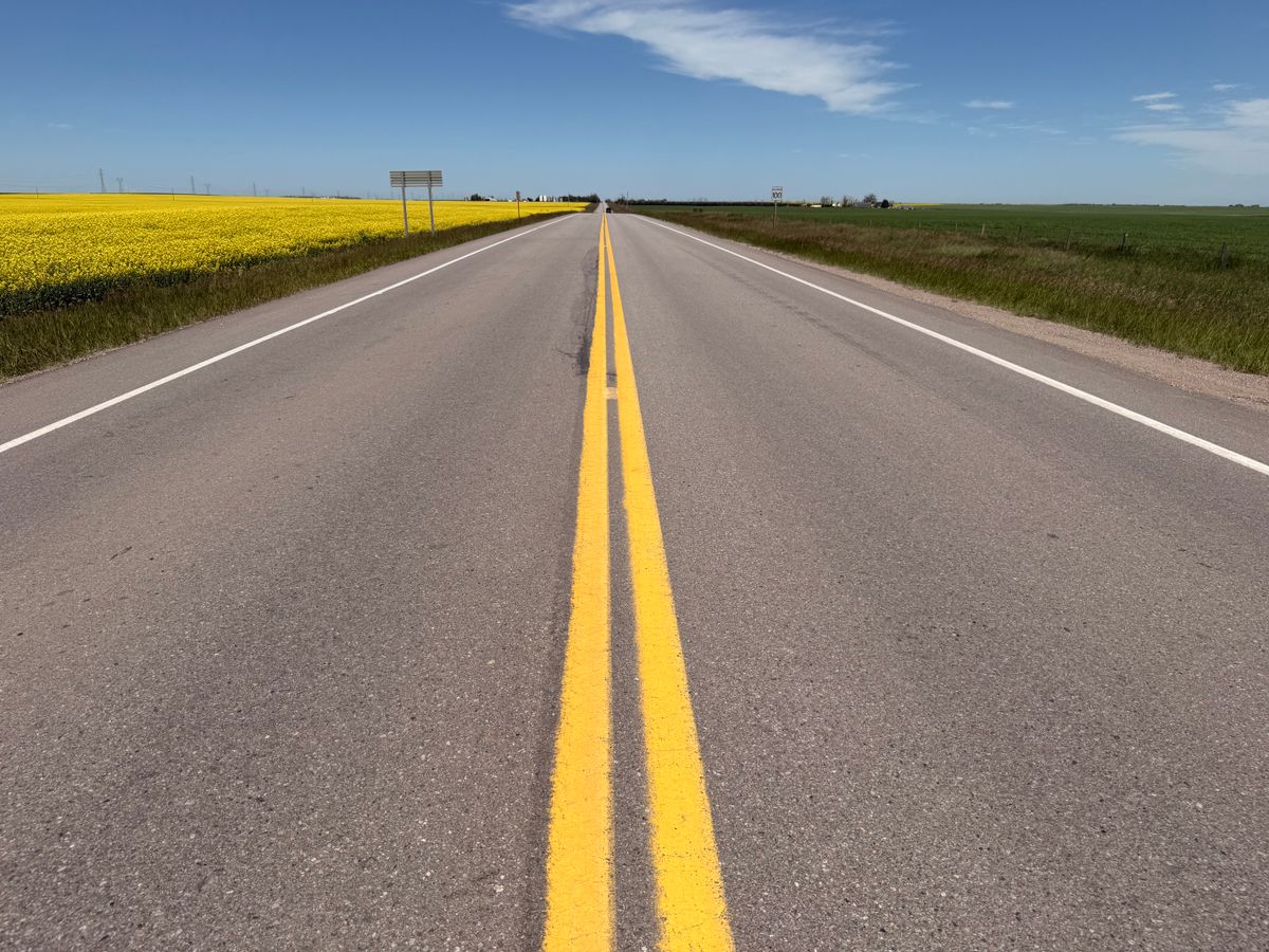 Rural road through canola fields in Saskatchewan
