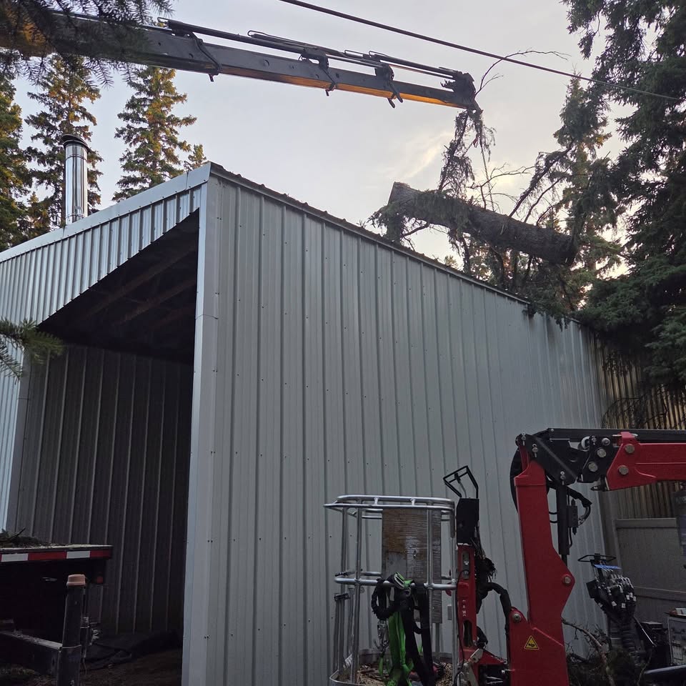 Crane and a tree fallen on a shed roof