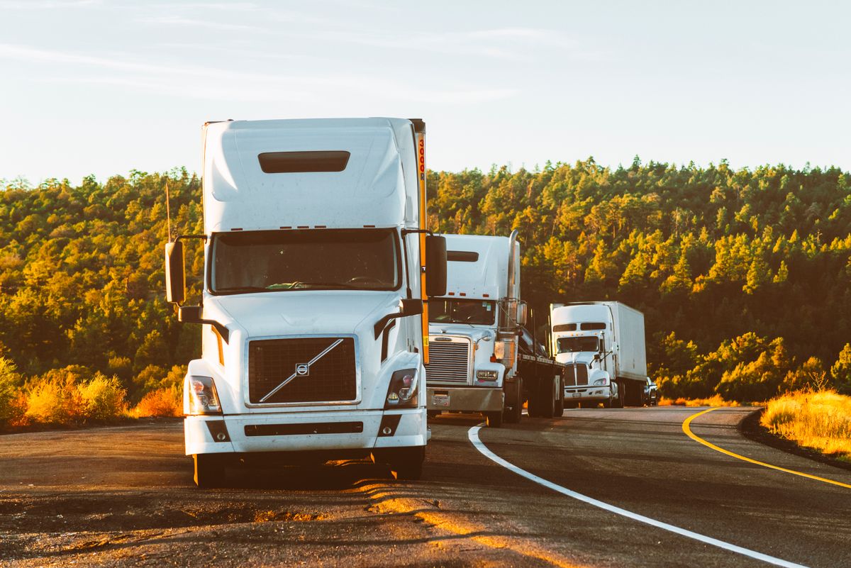 Trenchuk Livestock Hauling semi truck on the road