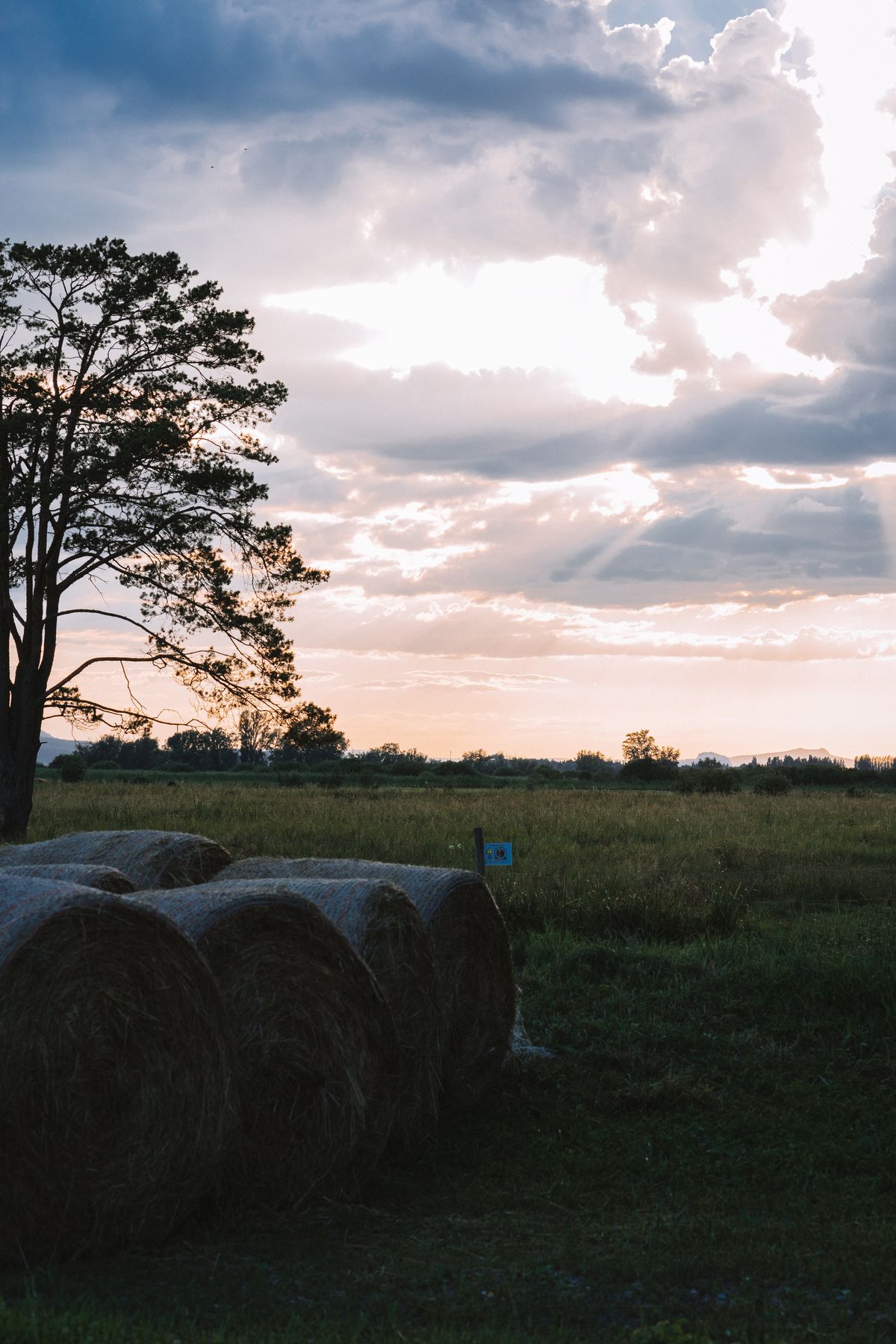 Hay bales on prairie farmland at sunset