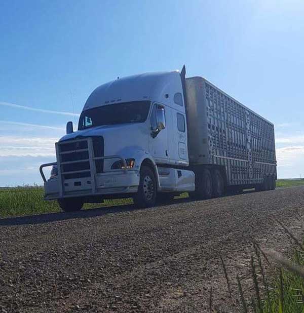 Legend Livestock Carriers - Hauling Services in Moose Jaw, Saskatchewan