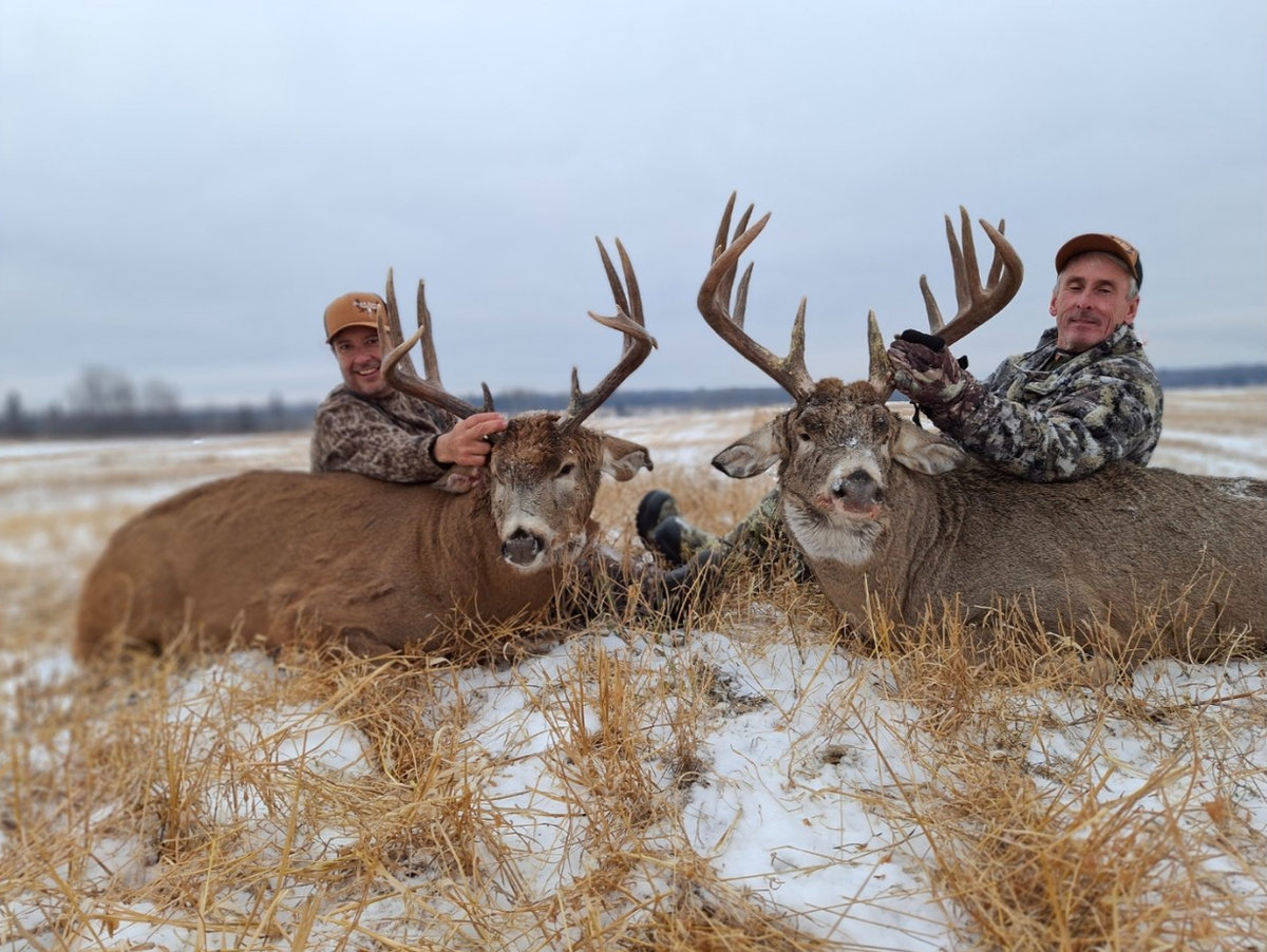 Hunters with whitetail bucks