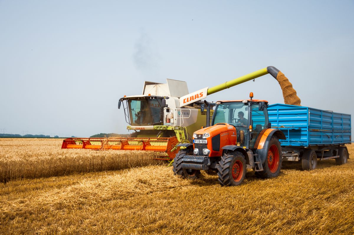Wild Rose Colony combine harvesting grain near Vulcan