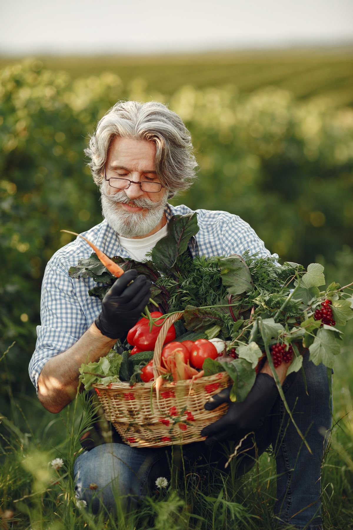 Fresh vegetables harvested from a colony garden