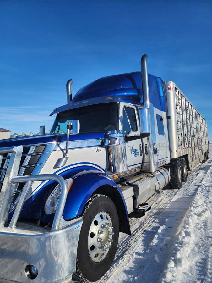 Legend Livestock Carriers semi with a livestock trailer in winter