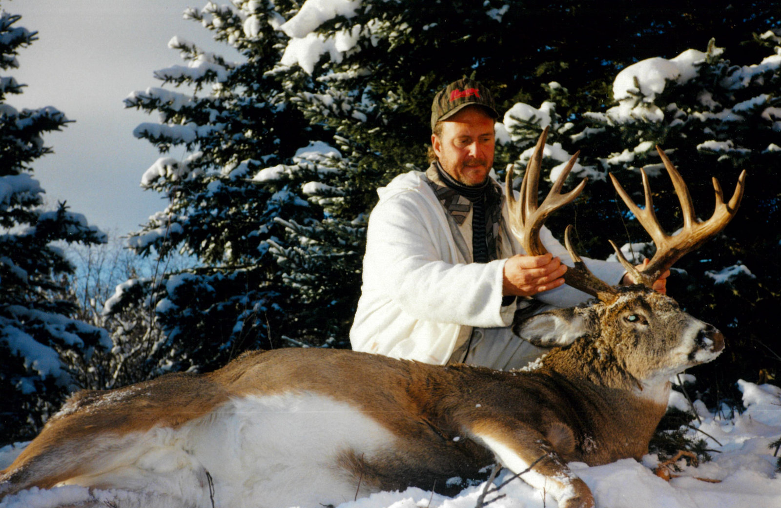 Hunter with a whitetail in snow and spruce