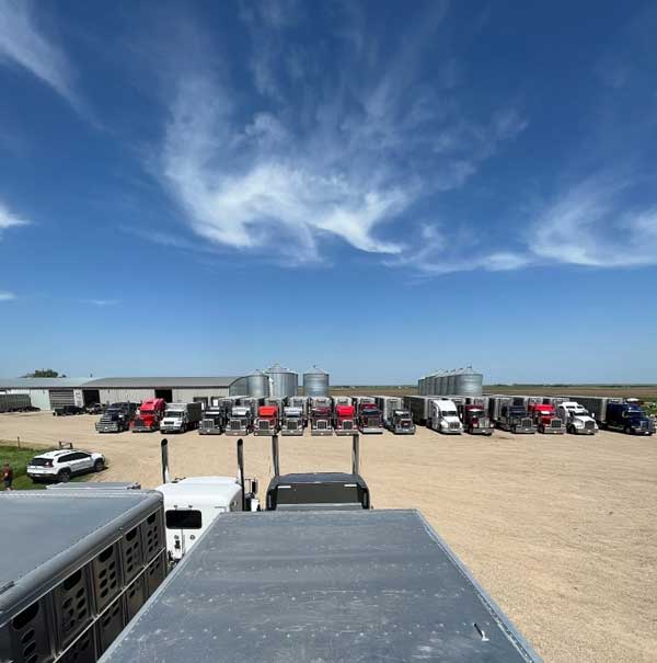 Legend Livestock Carriers yard with trucks and livestock trailers