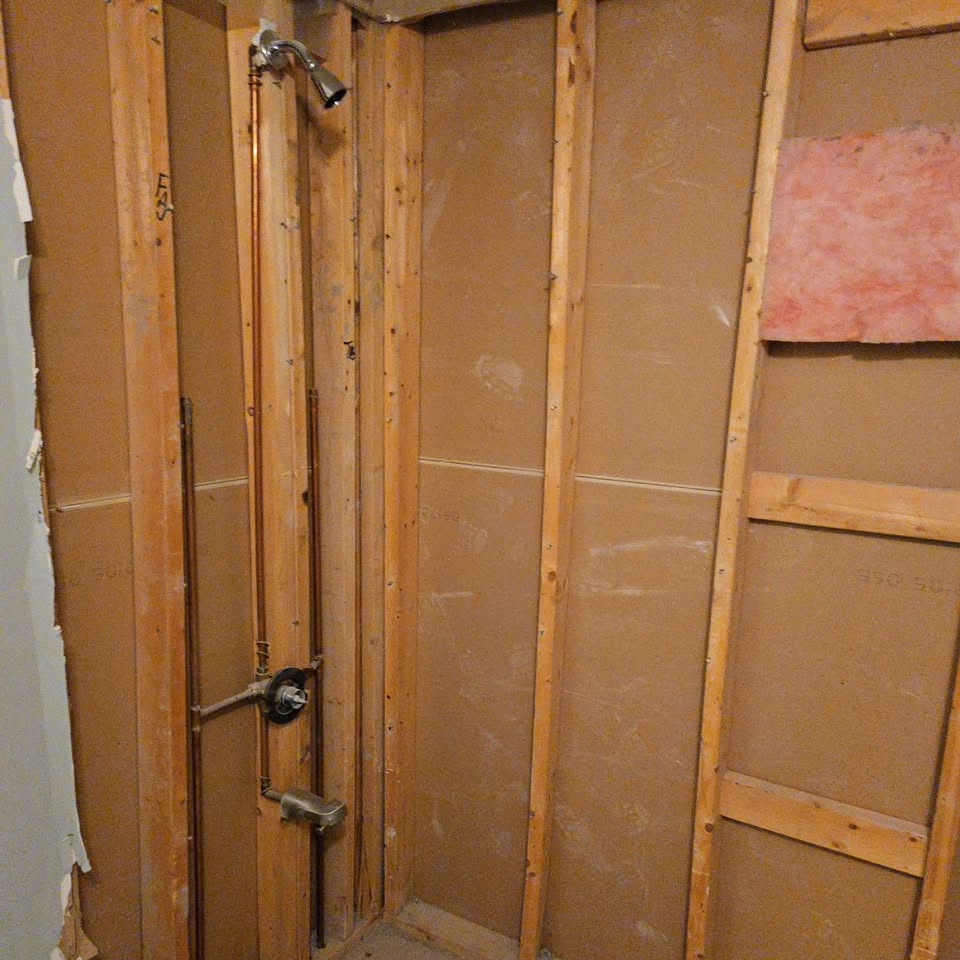 Shower wall stripped to studs and cement board