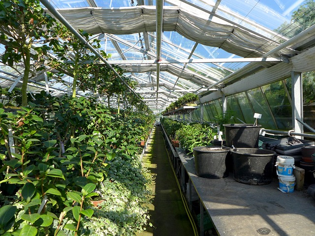 Winding River Colony Inc. - Farming & Agricultural Services in Birch Hills, Saskatchewan