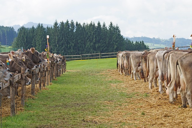 Klein's Agri Services Ltd. - Farming & Agricultural Services in Mountain, Ontario