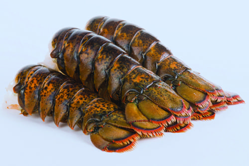 A B Seafood Specialists Inc. - Frozen Food Wholesalers in Bathurst, New Brunswick