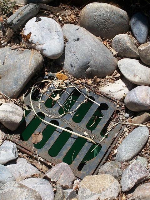 Sewer Contractors in St Andrews, Manitoba